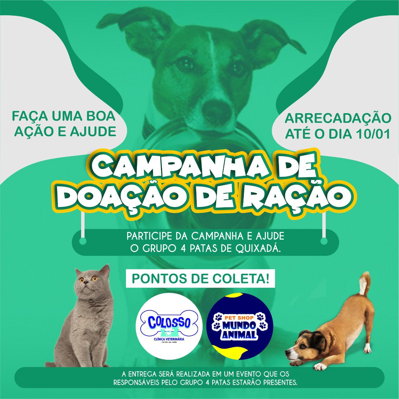 Quixadá Grupo 4 Patas Realiza Campanha Para Arrecadar Doações De Ração Para Animais Abandonados 3388